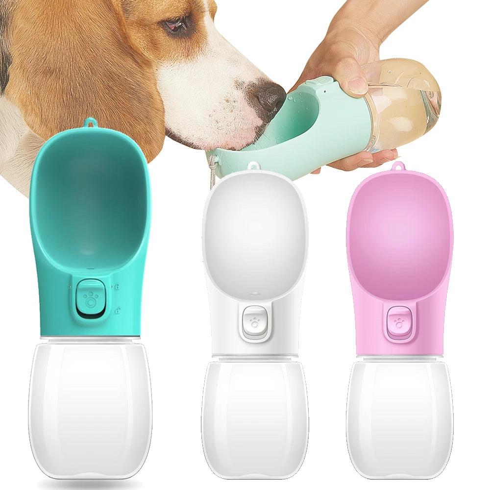 HoundVoyage™ Adventure Water Bottle