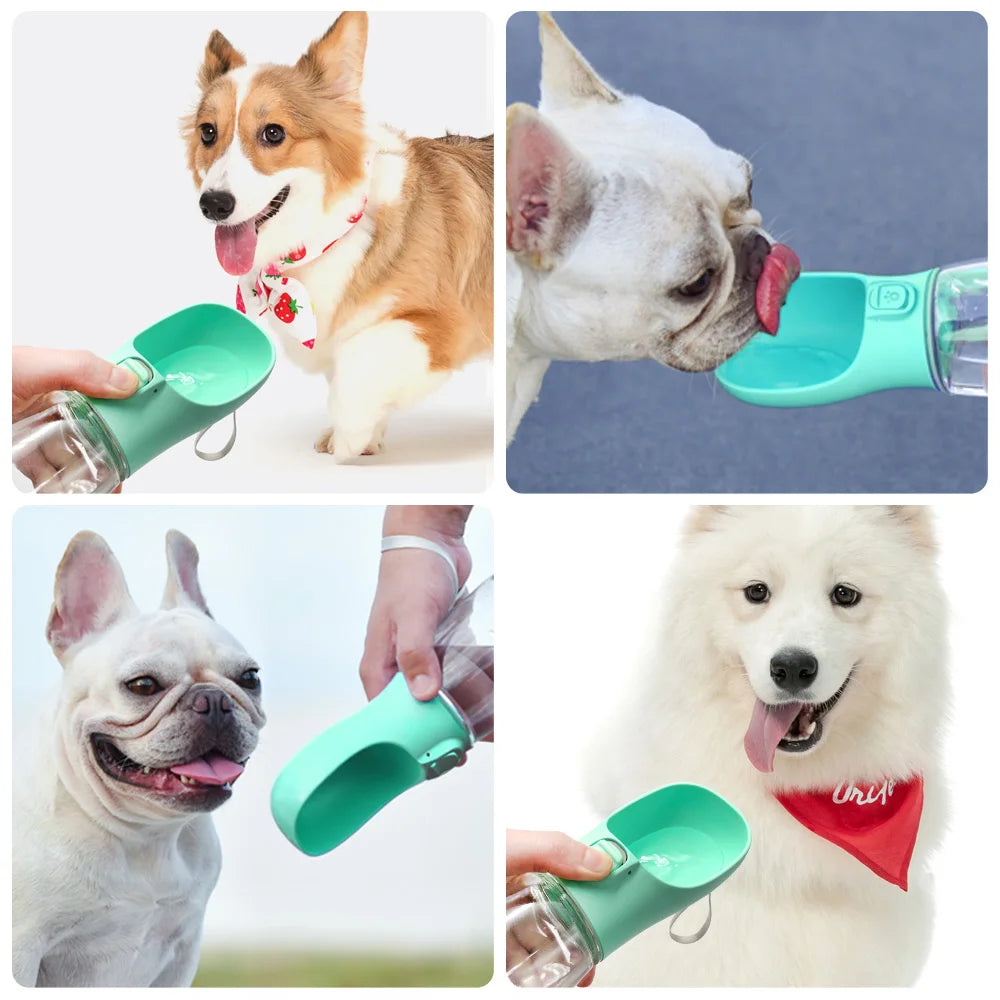 HoundVoyage™ Adventure Water Bottle