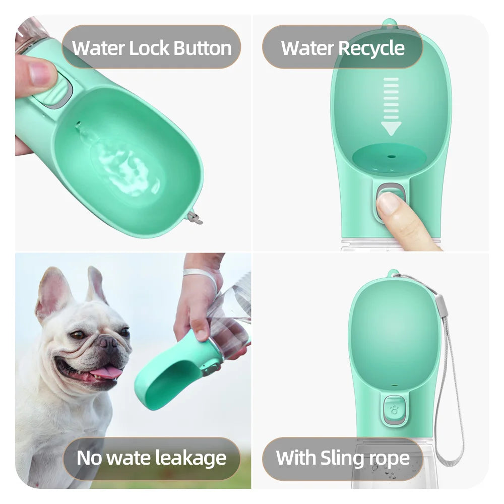 HoundVoyage™ Adventure Water Bottle
