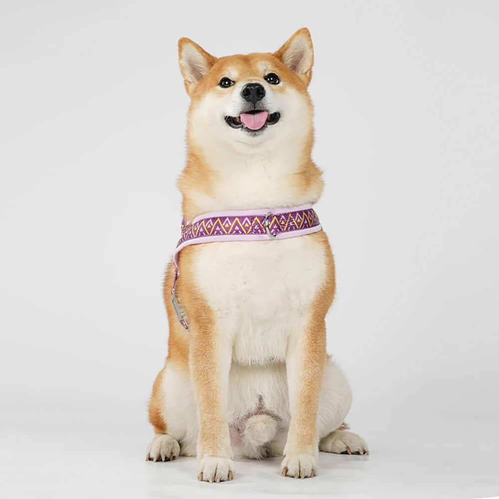 HoundVoyage Harness