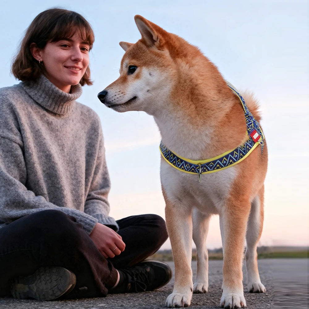 HoundVoyage Harness