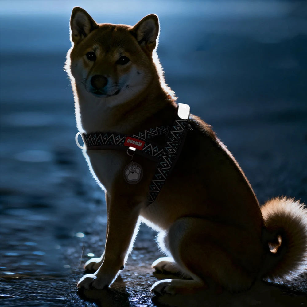 HoundVoyage Harness
