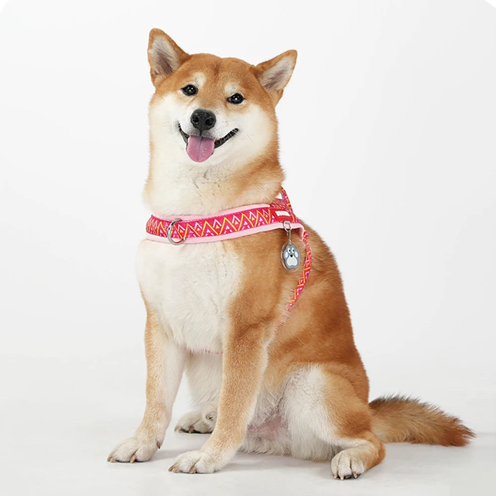 HoundVoyage Harness