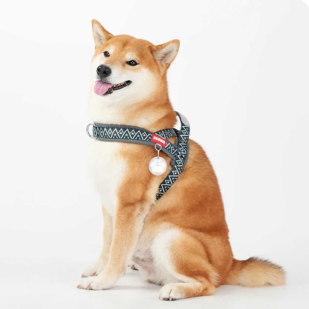 HoundVoyage Harness